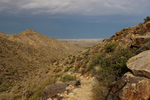 photo thumbnail #2