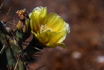 photo thumbnail #3