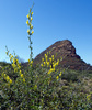 2012-05-19 :1: Brins Mesa Trail #119 :: tibber