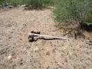 photo thumbnail #6