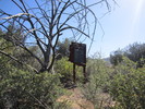 photo thumbnail #11
