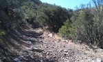 photo thumbnail #5