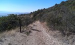 photo thumbnail #9