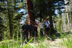 photo thumbnail #1