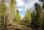 photo thumbnail #7