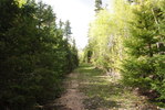 photo thumbnail #8