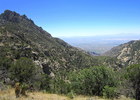 photo thumbnail #5