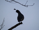 photo thumbnail #13