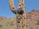 photo thumbnail #6