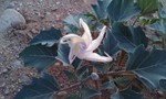 photo thumbnail #6