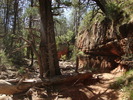 photo thumbnail #7