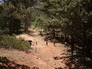 photo thumbnail #8