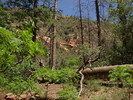 photo thumbnail #3