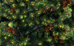 photo thumbnail #14