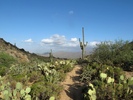 photo thumbnail #1