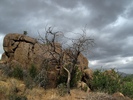 photo thumbnail #2