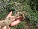 photo thumbnail #11
