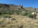 photo thumbnail #15
