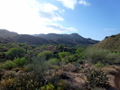 photo thumbnail #1