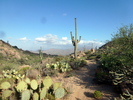 photo thumbnail #2