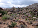 photo thumbnail #5