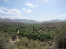 photo thumbnail #7