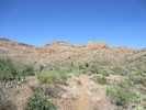 photo thumbnail #11
