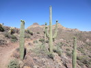 photo thumbnail #12