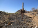 photo thumbnail #13