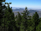 photo thumbnail #1