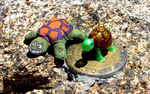 photo thumbnail #7