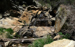 photo thumbnail #12