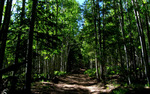 photo thumbnail #6
