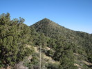 photo thumbnail #7