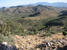 photo thumbnail #11