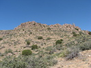 photo thumbnail #4