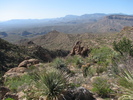photo thumbnail #9