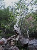 photo thumbnail #15