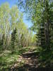 photo thumbnail #4