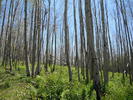 photo thumbnail #6