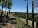 photo thumbnail #8