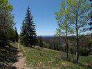 photo thumbnail #9