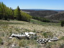 photo thumbnail #10
