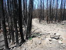 photo thumbnail #12