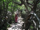 photo thumbnail #7
