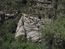 photo thumbnail #12