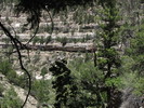 photo thumbnail #14