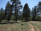 photo thumbnail #2