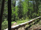 photo thumbnail #7