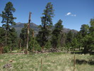 photo thumbnail #11